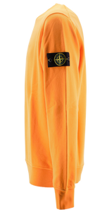 Felpa 101563051 Stone Island