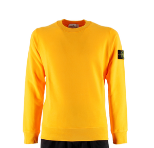 Felpa girocollo 771563020 Stone Island